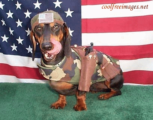 Free 4th July Pictures