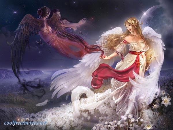Free Angel Images