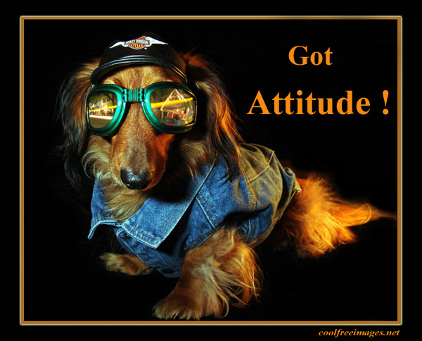 Best Attitude Pictures