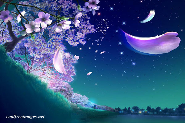 You Are Beautiful Images