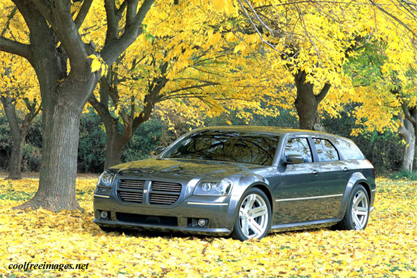 Dodge: Best Sports Car Images
