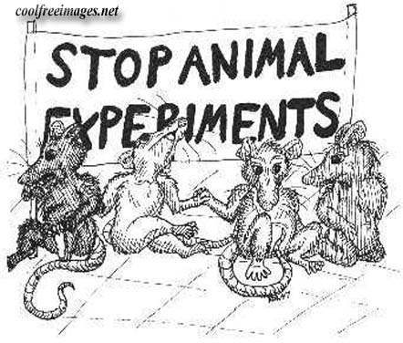 Cause: Stop Animal Experiments