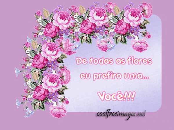 Best Portuguese - Flores Comments