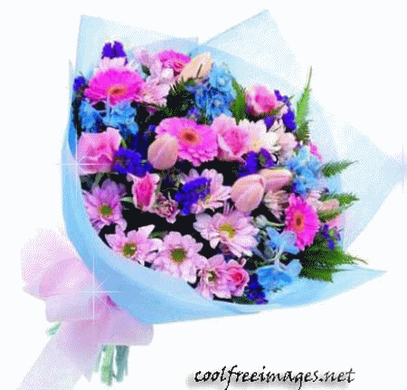 Best Flowers Pictures