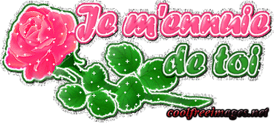 Online best French Comments