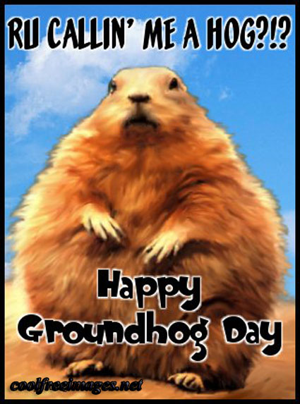 Best Groundhog Day Images