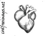 Online best heart images