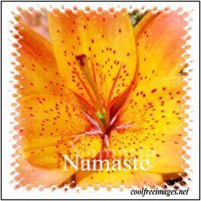 Best Namaste Images