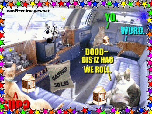 Best Online Pimp & Bling Pictures
