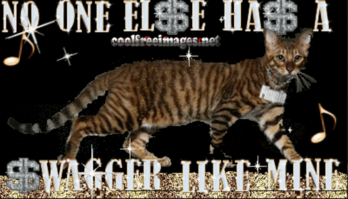 Best Pimp & Bling Images
