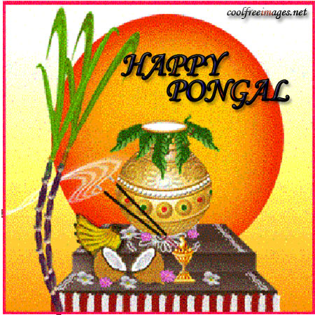 Best Free Pongal Graphics