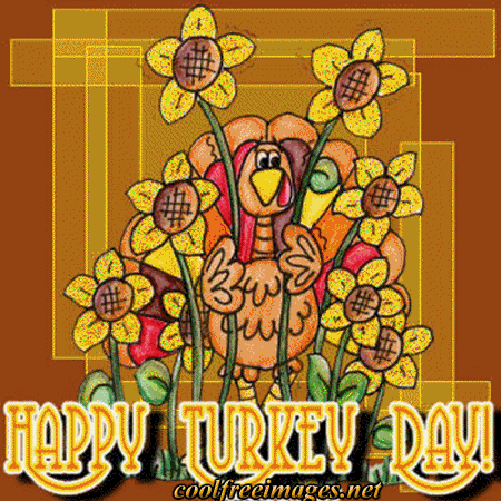 Best Turkey Day Graphics
