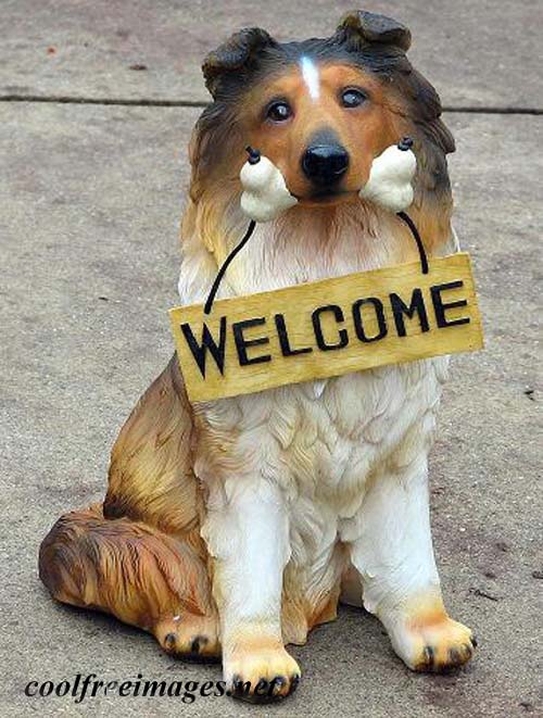 Best Welcome Images